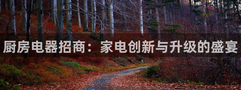 cq9电子火神视频