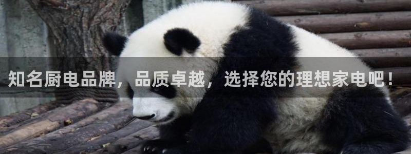 cq9电子大奖图片