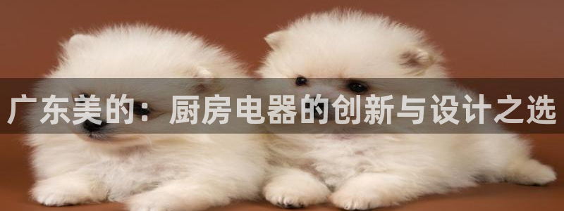 cq9宙斯电子下载