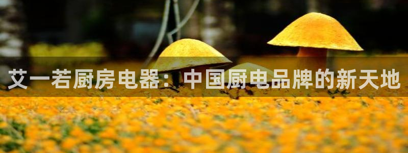 cq9电子财神视频