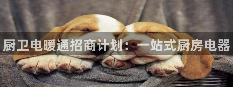 cq9跳高高电子游戏