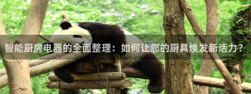 cq9电子里的钻石