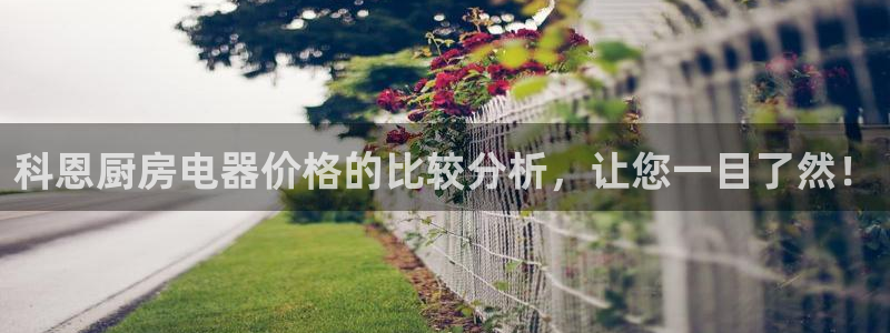 cq9电子投注规则