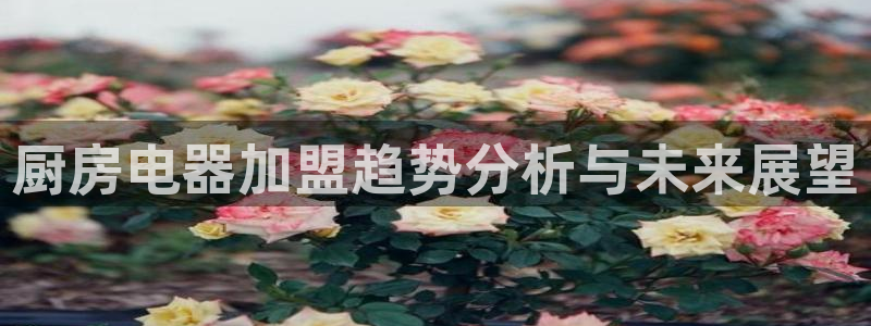 传奇电子cq9在哪玩